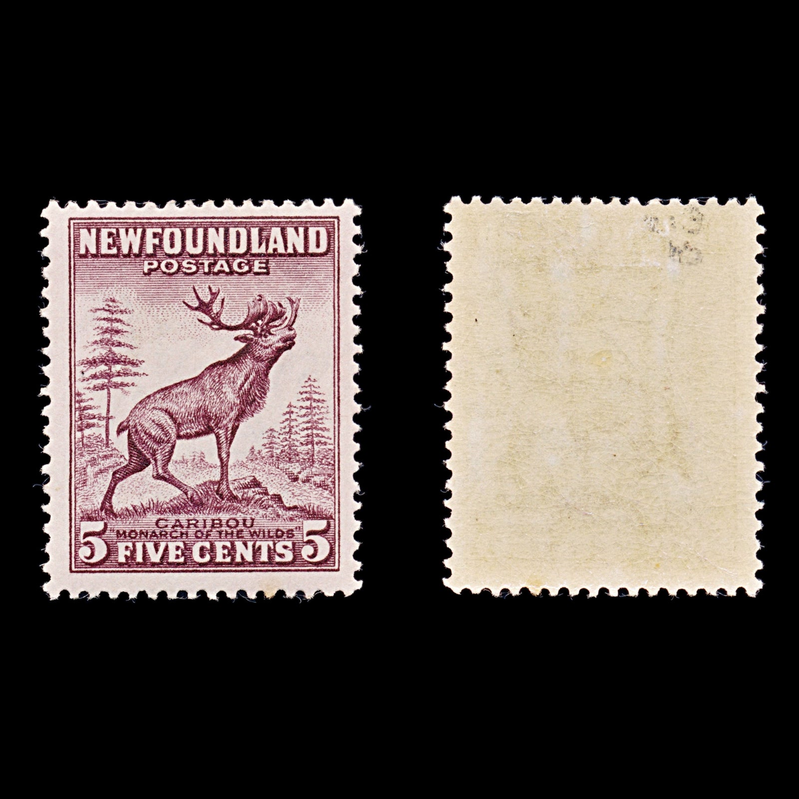 8261: Newfoundland SG213 5c Maroon 1932 Sc#190 Mi176A Mint MLH C£40