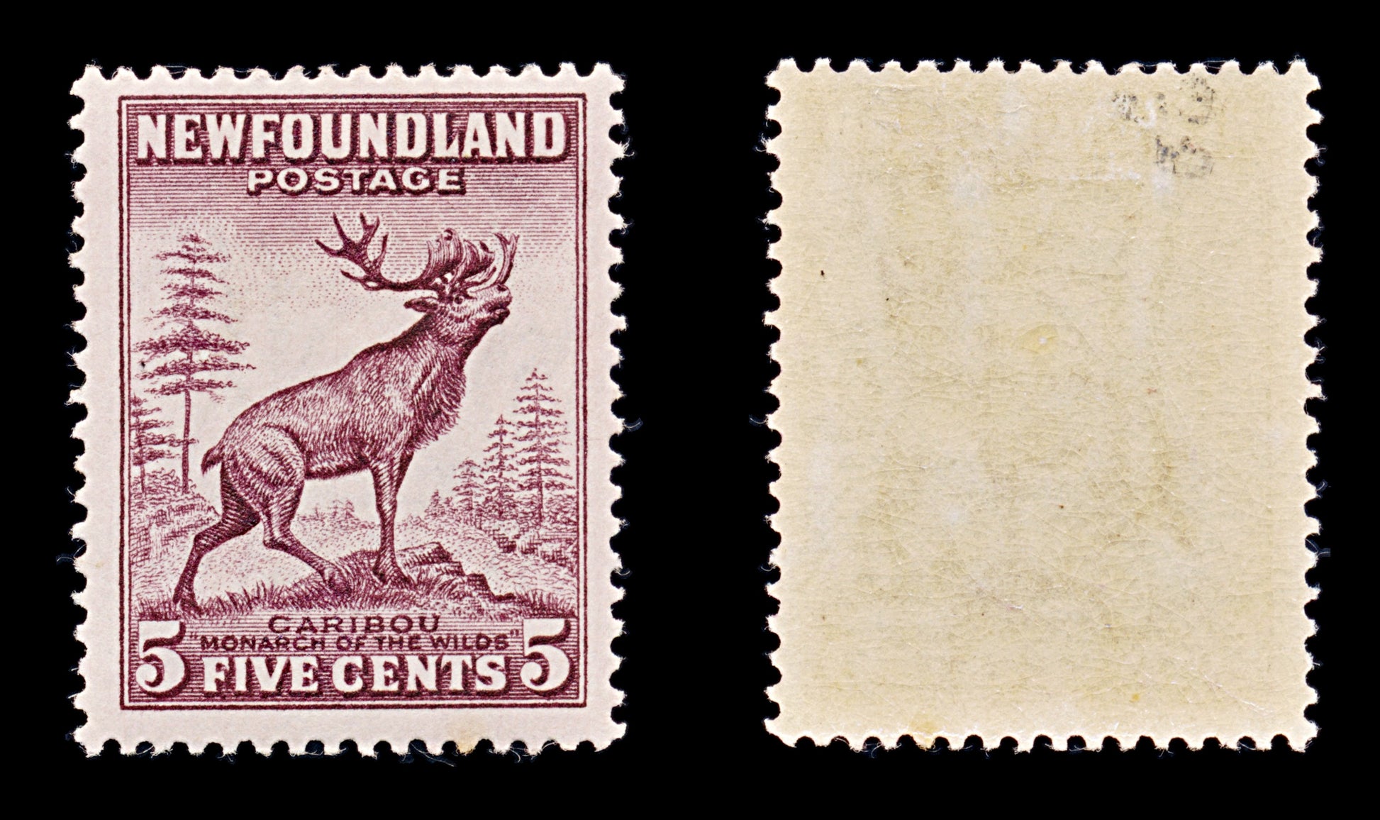 8261: Newfoundland SG213 5c Maroon 1932 Sc#190 Mi176A Mint MLH C£40