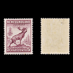 8261: Newfoundland SG213 5c Maroon 1932 Sc#190 Mi176A Mint MLH C£40, view 2