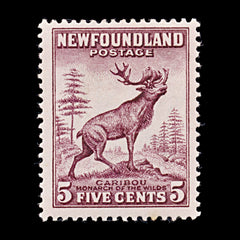 8261: Newfoundland SG213 5c Maroon 1932 Sc#190 Mi176A Mint MLH C£40, view 3