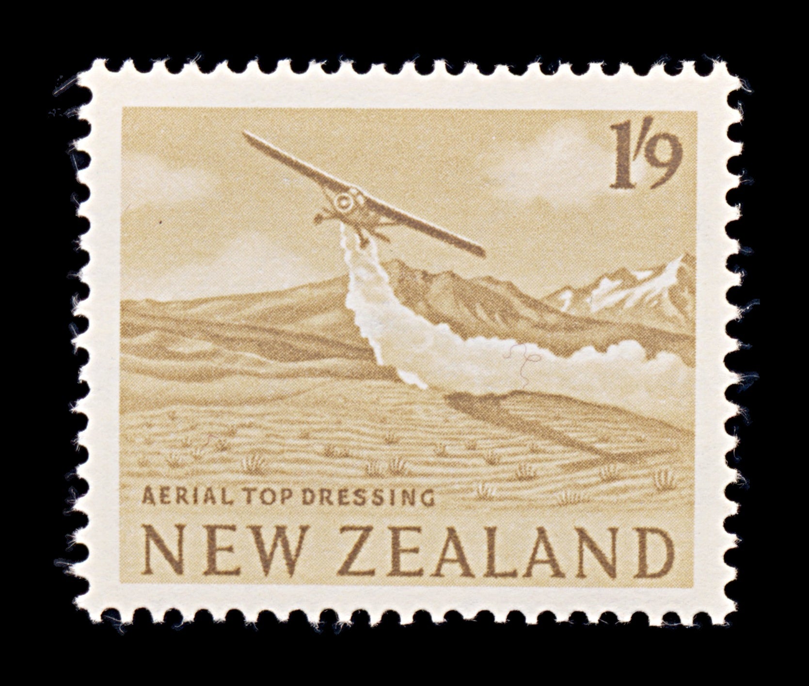 8293: New Zealand SG794 1'9s Bistre brown 1960 Sc#346 Mi405 Mint MLH C£15