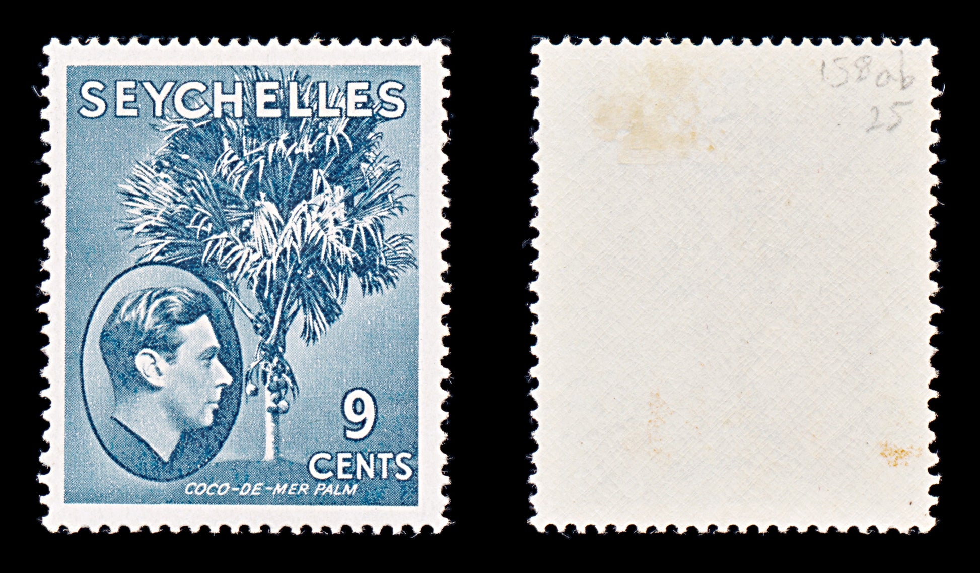 8298: Seychelles SG138ab 9c Grey blue 1942 Sc#131b Mint MLH C£25