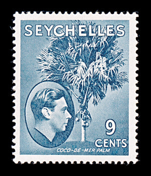 8298: Seychelles SG138ab 9c Grey blue 1942 Sc#131b Mint MLH C£25