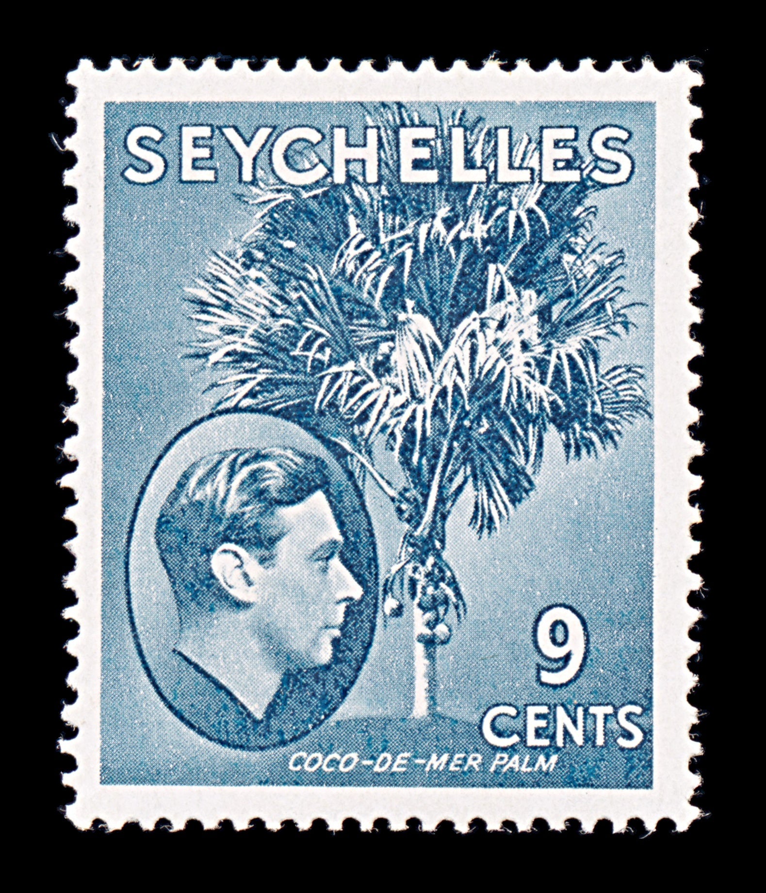 8298: Seychelles SG138ab 9c Grey blue 1942 Sc#131b Mint MLH C£25