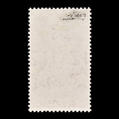 8332: New Zealand SG735 5s Carmine 1954 Sc#300 Mi344 Mint MH C£30, view 4
