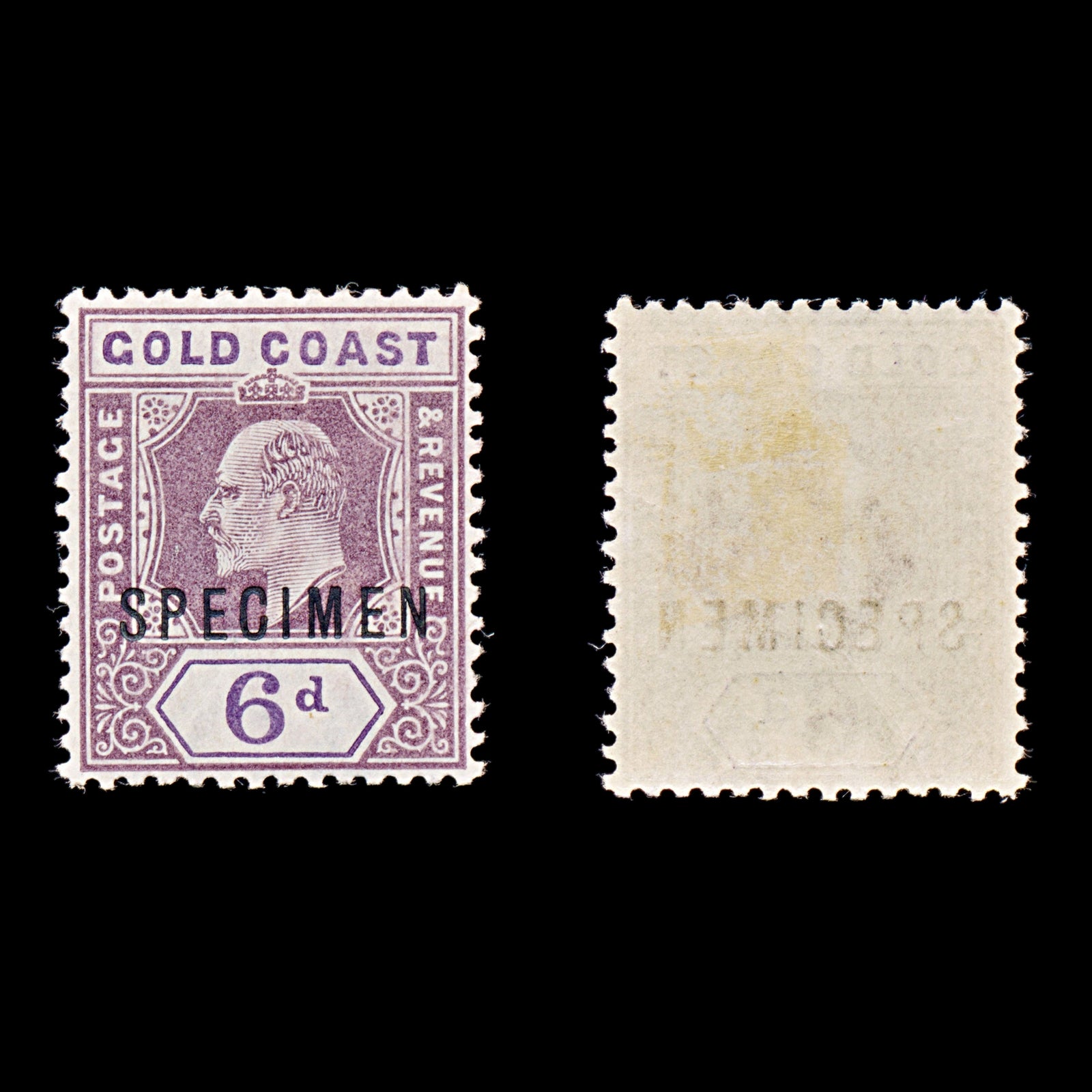 8374: Gold Coast SG54 SPECIMEN 1906 Sc#54 Mi55b Mint MVLH C£180