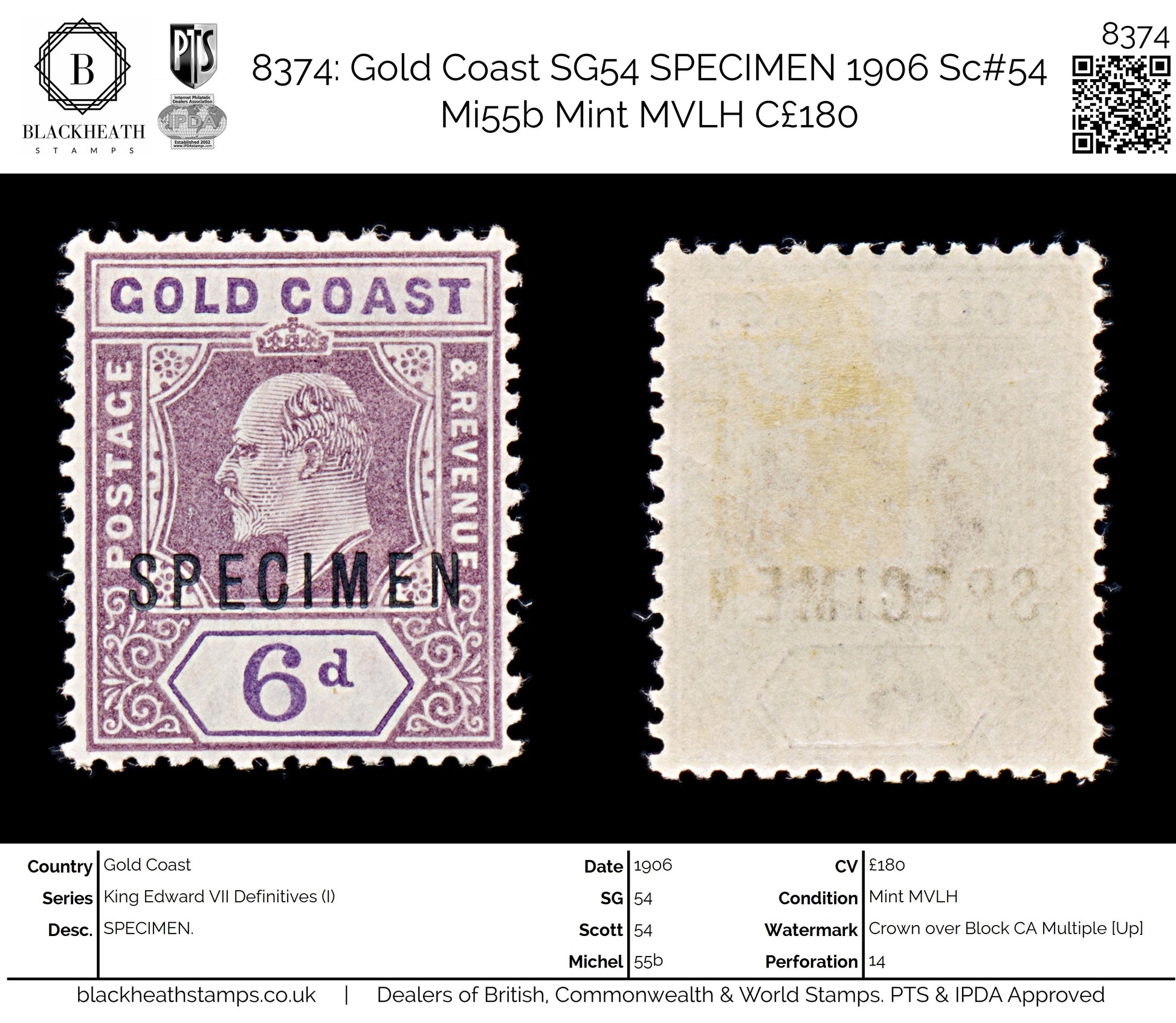 8374: Gold Coast SG54 SPECIMEN 1906 Sc#54 Mi55b Mint MVLH C£180