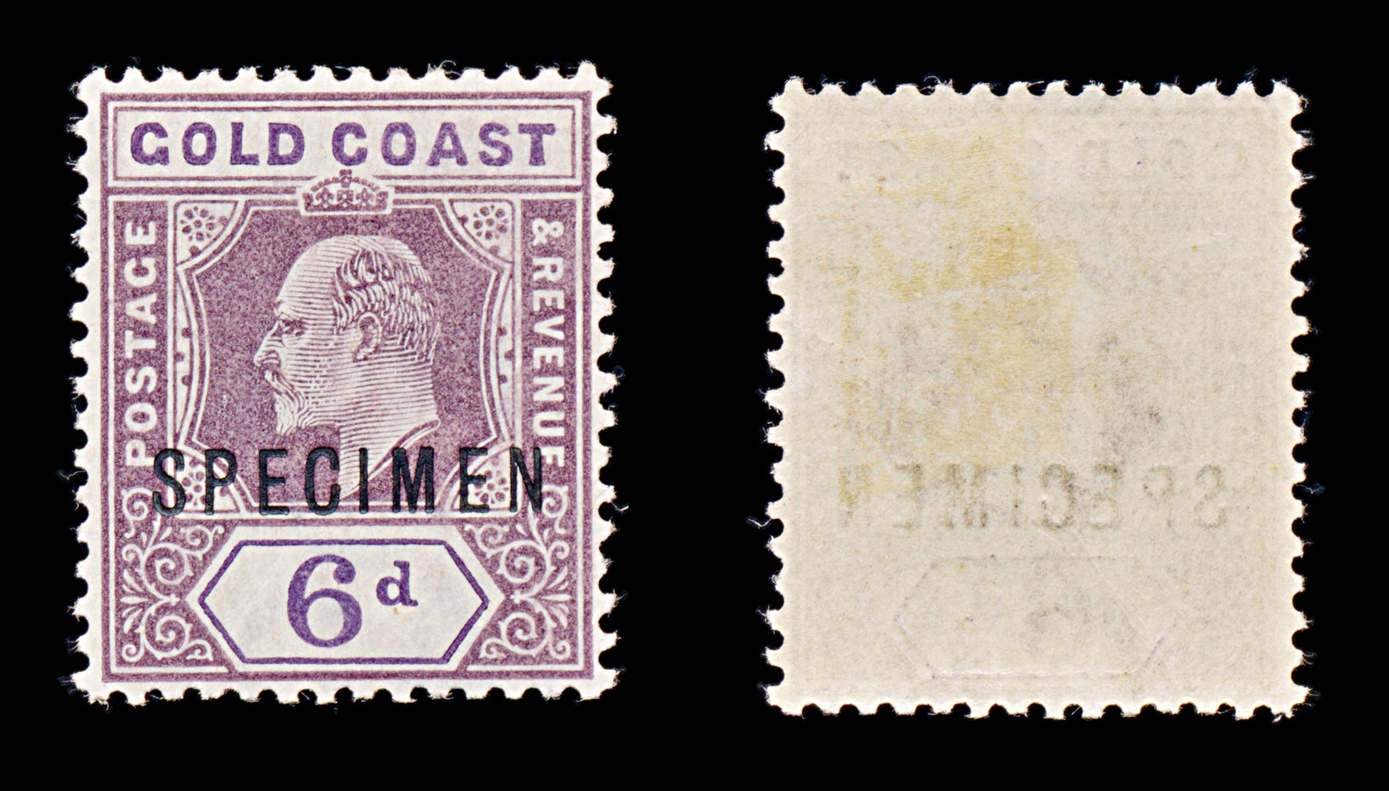 8374: Gold Coast SG54 SPECIMEN 1906 Sc#54 Mi55b Mint MVLH C£180