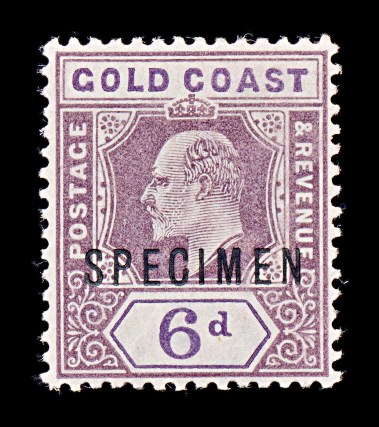 8374: Gold Coast SG54 SPECIMEN 1906 Sc#54 Mi55b Mint MVLH C£180