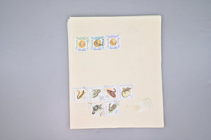 8518 Romania: Extensive Early to Modern Collection. Many Better Items. Mint & Used. 101 Images