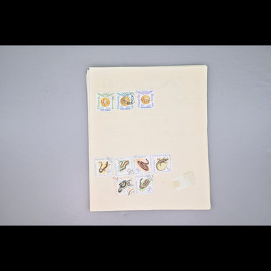 8518 Romania: Extensive Early to Modern Collection. Many Better Items. Mint & Used. 101 Images, image 73