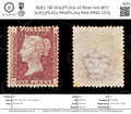 8583: GB SG43PL204 1d Rose red 1877 Sc#33PL204 Mi16PL204 Mint MNG C£75