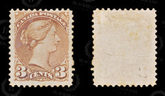8616: Canada SG95 3c Dull red 1875 Sc#37ii Mint MNG C£300, view 2