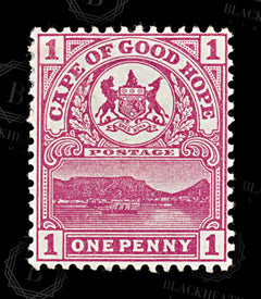 8629: Cape of Good Hope SG69 1d Carmine 1900 Sc#62 Mi51 Mint MH C£10, view 3