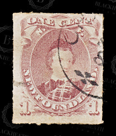 8638: Newfoundland SG40 1c Brown lilac 1877 Sc#37 Mi27 Used C£55, view 3