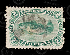 8639: Newfoundland SG31 2c Bluish green 1870 Sc#24 Mi16y Used C£50, view 3