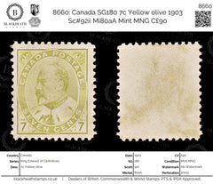 8660: Canada SG180 7c Yellow olive 1903 Sc#92ii Mi80aA Mint MNG C£90, view 1