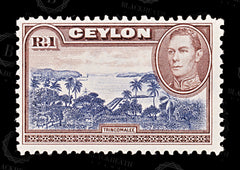 8664: Ceylon SG395a 1r Blue violet & Chocolate 1944 Mi240X Mint MNH C£19, view 3