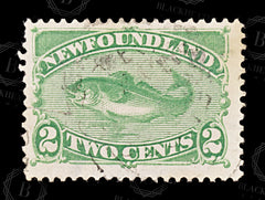 8693: Newfoundland SG46 2c Yellow green 1882 Sc#46 Mi32a Used C£32, view 3