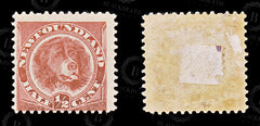 8694: Newfoundland SG49 ½c Rose red 1887 Sc#56 Mi35a Mint MH C£16, view 2