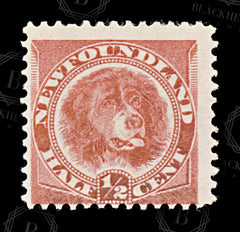 8694: Newfoundland SG49 ½c Rose red 1887 Sc#56 Mi35a Mint MH C£16, view 3