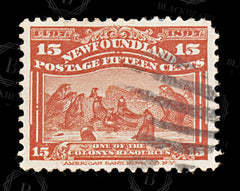 8695: Newfoundland SG75 15c Scarlet 1897 Sc#70 Mi53 Used C£27, view 3