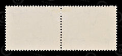 8726: South Africa SG120 2*1s Brown & Chalky blue 1950 Mi199-200 Mint MLH C£11, view 4