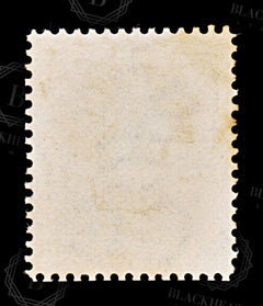 8733: British Guiana SG129 6c Dark brown 1876 Sc#75 Mi35 Used C£13, view 4