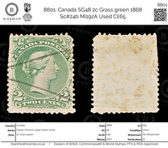 8801: Canada SG48 2c Grass green 1868 Sc#24b Mi19zA Used C£65, view 1