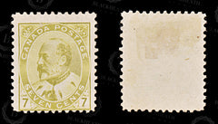 8806: Canada SG180 7c Yellow olive 1903 Sc#92ii Mi80aA Mint MNG C£90, view 2