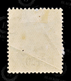 8815: Ceylon SG287 1.50r Slate 1905 Sc#192 Mi160 Mint MLH C£35, view 3