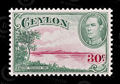 8816: Ceylon SG393 30c Green & Red 1938 Sc#285 Mi238Y Mint MVLH C£12, view 3