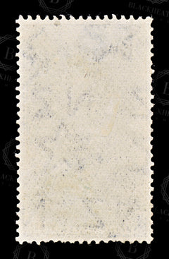 8825: New Zealand SG736 10s Ultramarine 1954 Sc#301 Mi345 Mint MH C£50, view 4