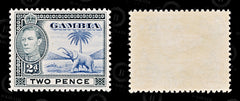 8838: Gambia SG153 2d Blue & Black 1938 Sc#135 Mi127 Mint MLH C£15, view 2