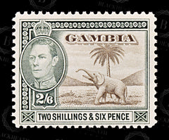 8839: Gambia SG158 2s6d Sepia & Dull green 1938 Sc#140 Mi135 Mint MH C£20, view 3