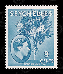8851: Seychelles SG138a 9c Grey blue 1941 Sc#131a Mint MH C£38, view 3