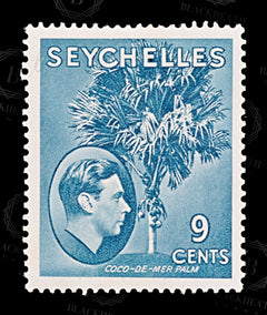 8852: Seychelles SG138a 9c Grey blue 1941 Sc#131a Mint MLH C£38, view 3
