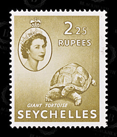 8856: Seychelles SG186 2.25R Olive brown 1954 Sc#188 Mi186 Mint MLH C£11, view 3