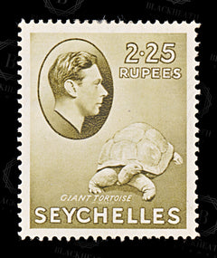 8857: Seychelles SG148a 2.25R Olive brown 1942 Sc#147 Mi144 Mint MH C£35, view 3