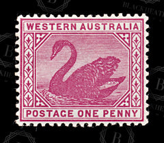 9026: Western Australia SG112 1d Carmine rose 1899 Sc#73 Mi44 Mint MLH C£10, view 3