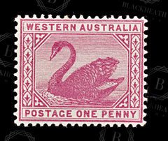 9027: Western Australia SG95 1d Carmine rose 1890 Sc#62 Mi34 Mint MNH C£48, view 3