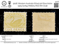9028: Western Australia SG143 5d Olive bistre 1905 Sc#94 Mi66Aa Mint MH C£38, view 1