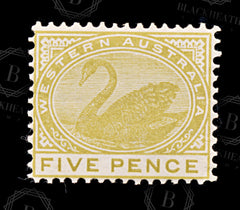 9028: Western Australia SG143 5d Olive bistre 1905 Sc#94 Mi66Aa Mint MH C£38, view 3