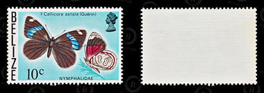 9123: Belize SG395-380 Set of 16 1976 Sc#360-345 Mi345X-330X Mint MNH C£55, image 8