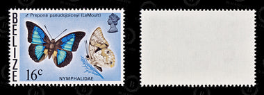 9123: Belize SG395-380 Set of 16 1976 Sc#360-345 Mi345X-330X Mint MNH C£55, image 10