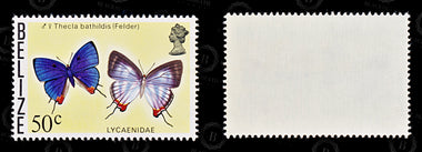 9123: Belize SG395-380 Set of 16 1976 Sc#360-345 Mi345X-330X Mint MNH C£55, image 13