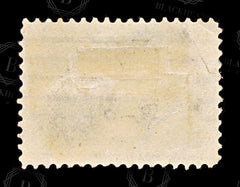 9199: USA SG303 5c Black &  Ultramarine 1901 Sc#297 Mi135 Used C£16, view 4