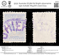 9232: Australia SG38d 6d Bright ultramarine 1921 Sc#48c Mi44XIII Used C£24