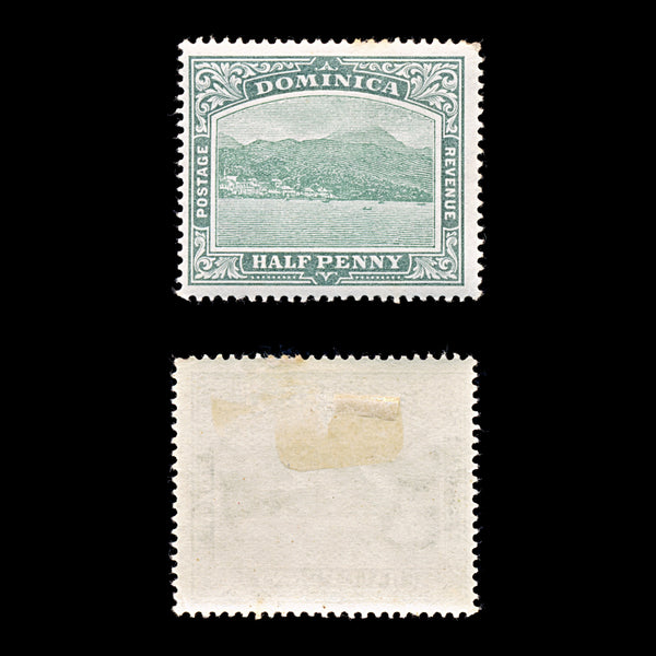 9265: Dominica SG37 ½d Grey green 1907 Sc#35 Mi31 Mint MH C£16