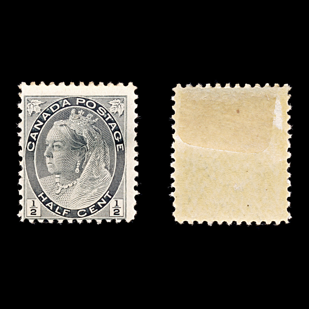 9316: Canada SG142 2x ½c Grey black 1897 Sc#66 Mi54 Mint MH C£15